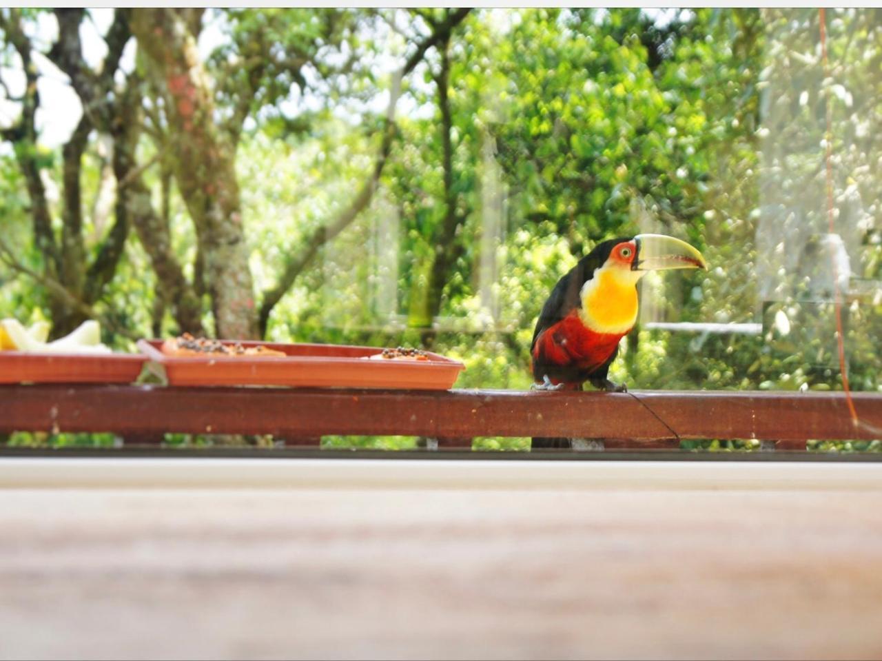 La Reserve Suites Monte Verde  Bagian luar foto